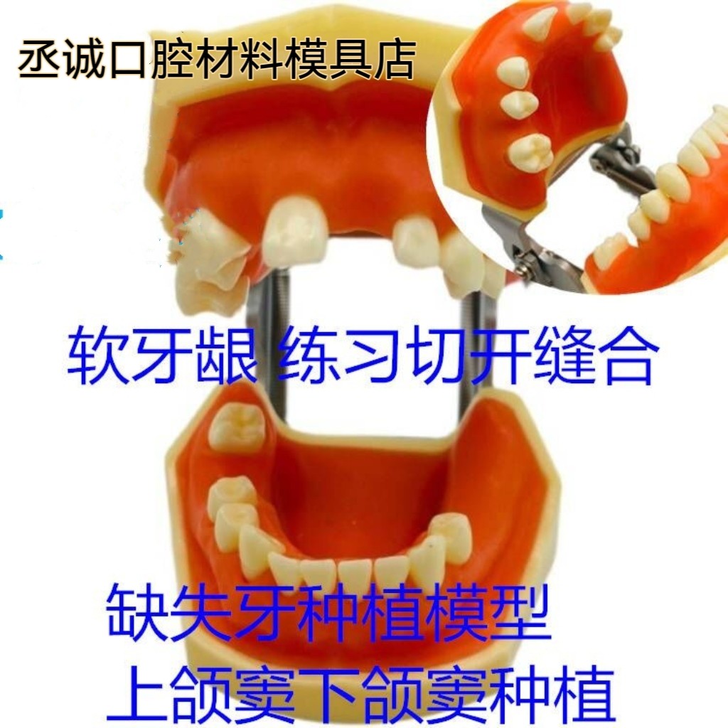牙科口腔种植 上颌窦加下颌窦种植模型 练习切开种植缝合模型包邮