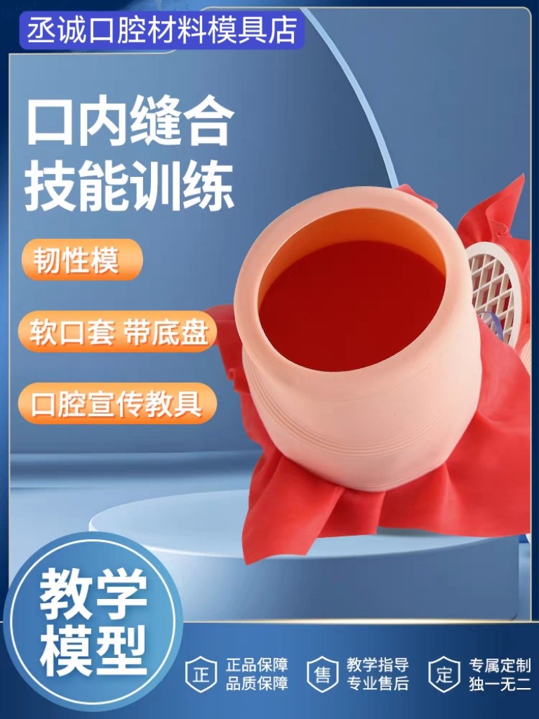 口腔缝合练习模型齿科医生执照考试口内缝合打结练习黏膜训练模型