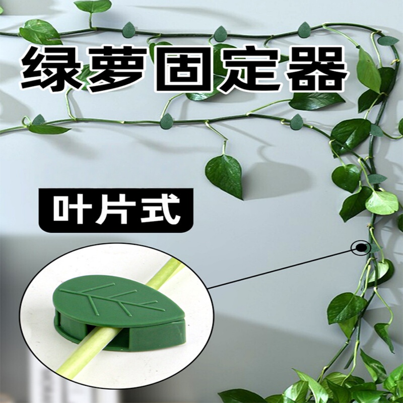 Plant Fixing Magic Tool for Vines and Green Plants, Indoor Nail-Free Wall Adhesive, Self-Adhesive, Non-Damaging Wall Hook, Green Plant Wall Climbing Tool