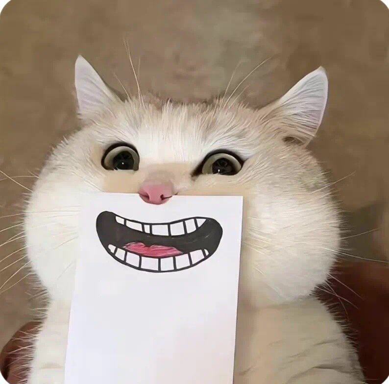 yoke电子