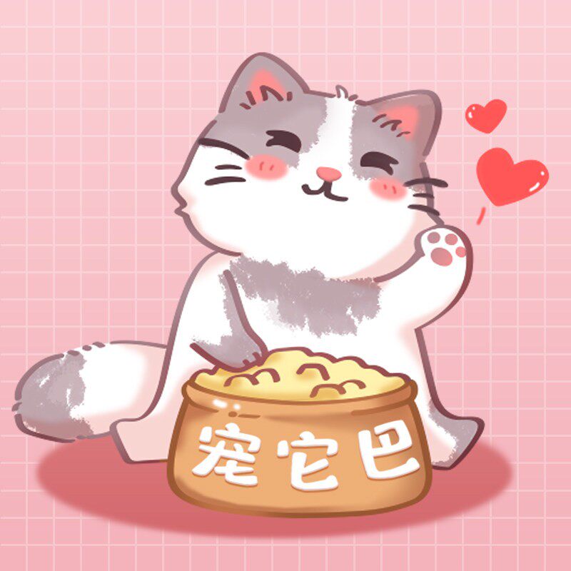 宠它巴的LOGO