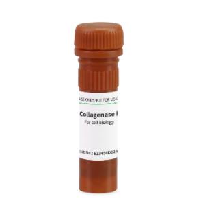 BioFroxx  胶原酶II型Collagenase II  100mg 用于细胞分离