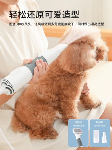 Сморт для волос домашних животных, высыхание волос, волосы, волосы, расчесывание волос, расческа с большими собаками, артефакт купания, быстрая сухая собака и кошка специальная фен
