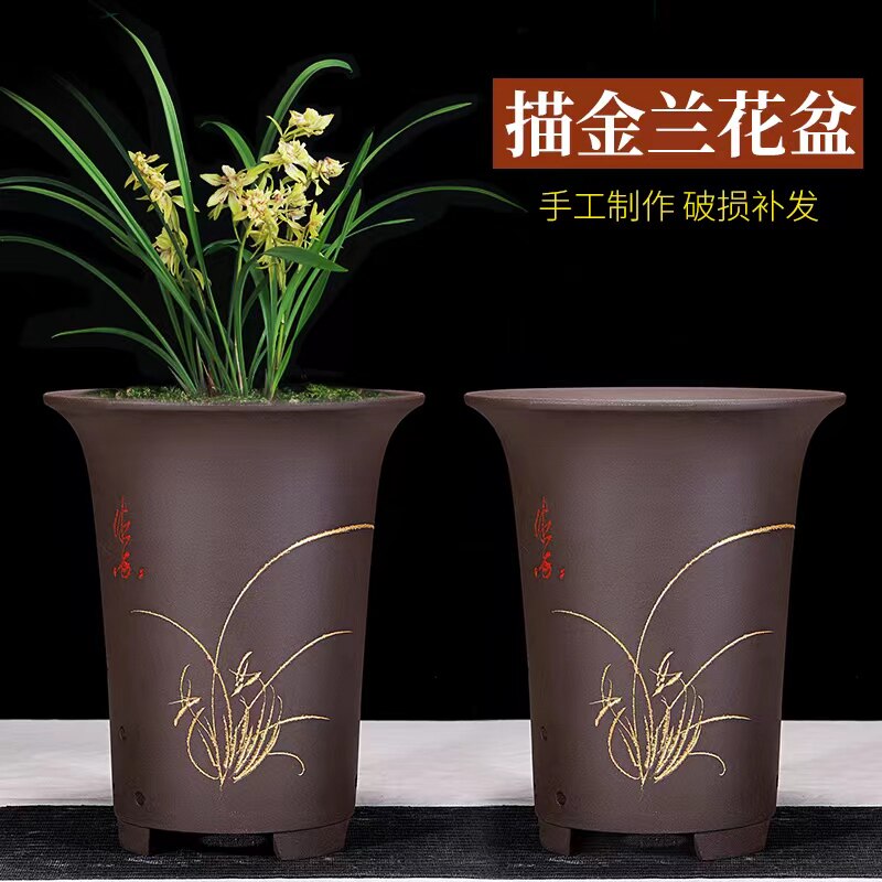 兰花盆多肉花盆紫砂花盆绿萝花盆君子兰盆:室内养花必备神器,特价来袭!-花盆-淘宝好物网