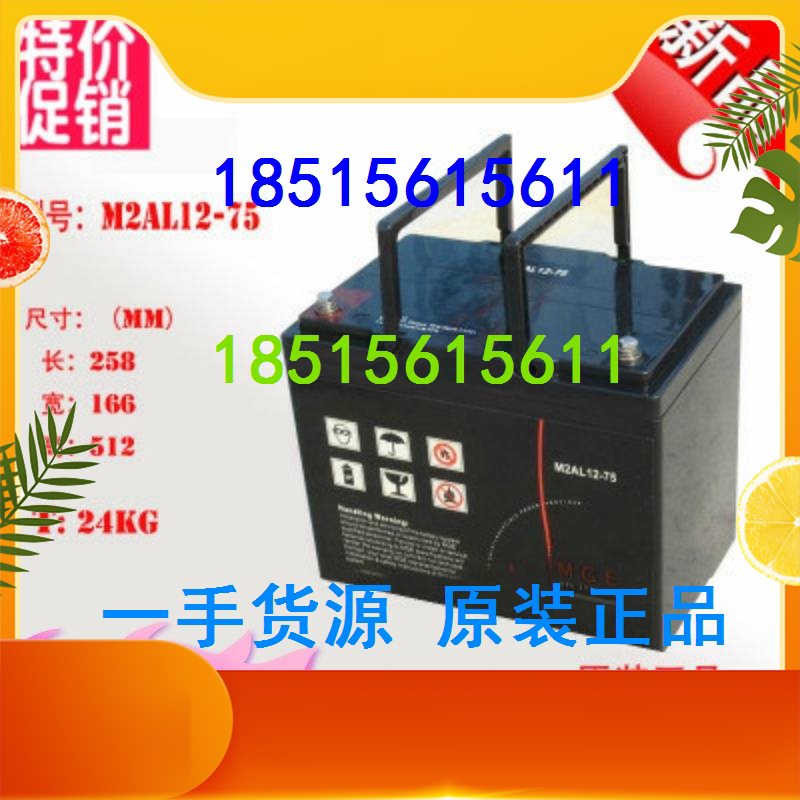 Meilan Rilan battery M2AL12-75 12V75AH pass base station equipment UPS power supply dedicated