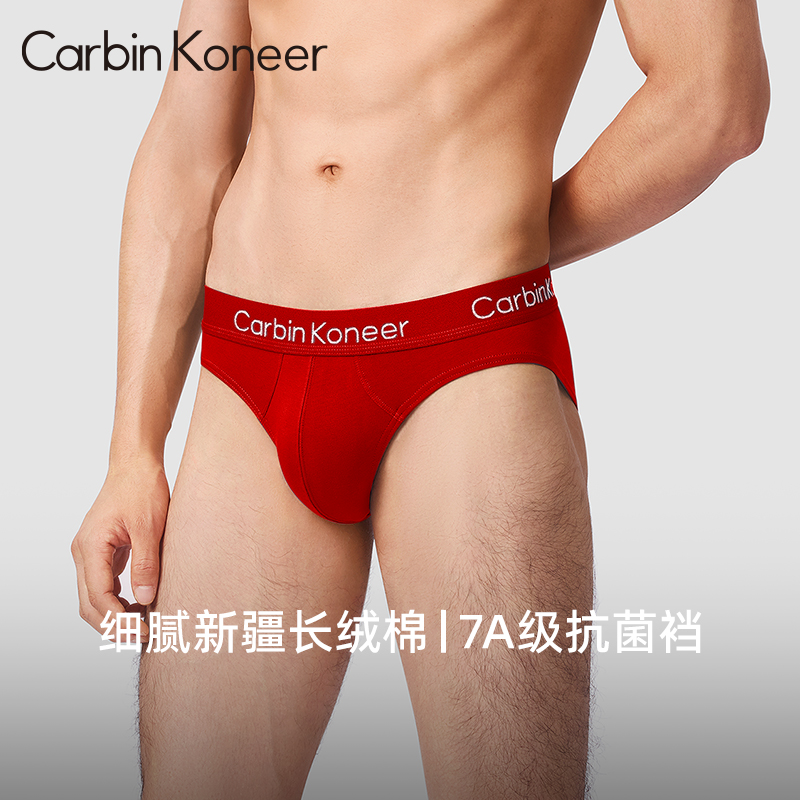 CarbinKoneer メンズ下着 メンズブリーフ 純綿 股下 2025 蛇年 セクシー 赤 ショーツ