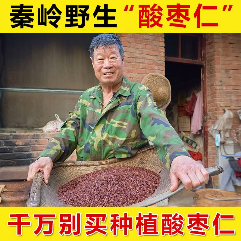 Wild sour jujube kernels 500g Chinese herbal medicines can be fried and cooked with sour jujube kernels and powdered with lily and tuckahoe Qinling domestically produced