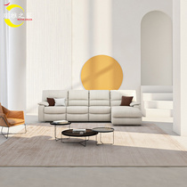 Ruiyas home modern light luxury carpet living room study simple high-end coffee table blanket bedroom home room floor mat