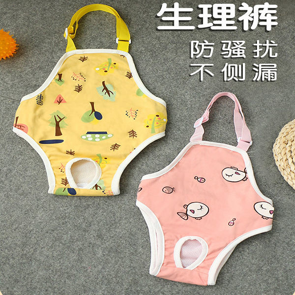 Dog Aunt Divine Instrumental Pet Pooch Menstrual Physiology Pants Safety Anti-Mating, Anti-Gestation Small Dog Aunt