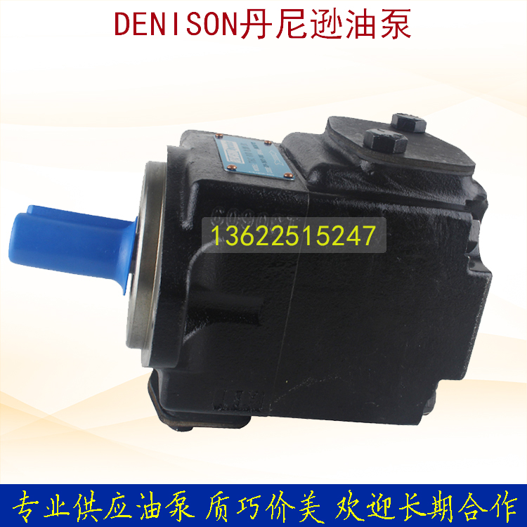 Denison vane pumps T6C 025 1R00 1R00 B1 T6C 025 T6C 1R01 1R02 1R01 025 B1 T6C B1 B1 B1 B1 B1