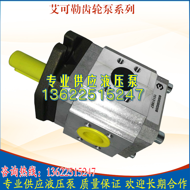 German imports of the ECKERLE gear pump EIPH3-064RK23-10 EIPH2-019RK03-10