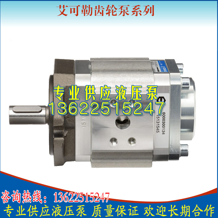 ECKERLE EIKLER GEAR PUMP EIPS2-025RA04-11-S111 CURED GOLD INJECTION MACHINERY HYDRAULIC OIL PUMPS