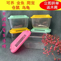 Transparent plastic turtle box small portable ecological goldfish tank transport box pet box hamster reptile feeding box