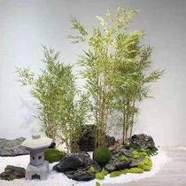 Mall building view plant wall-like room Dining Room Fake Tree Golden Bamboo Chinese Emulation Bamboo-made View small bamboo leaves Green Landscape