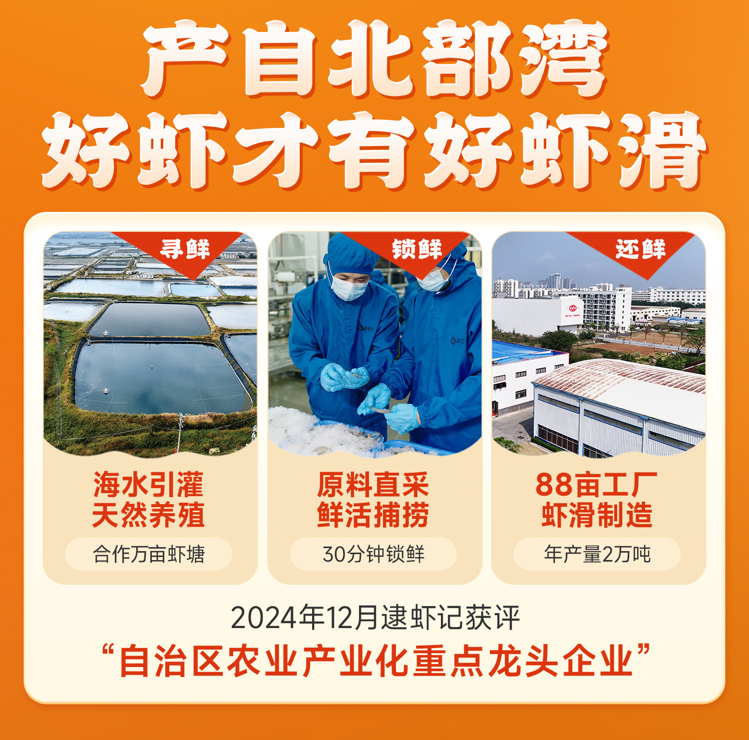 逮虾记 85%虾含量 九五纯虾肉虾滑 100g*10袋 双重优惠折后￥88包邮 淘金币可抵扣9.69元