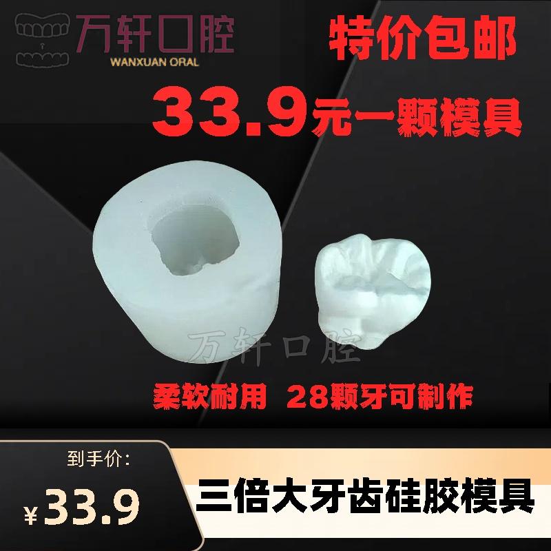 牙科定制 3倍放大牙齿硅胶阴模 制作石膏模型 硅胶模型28牙位任选