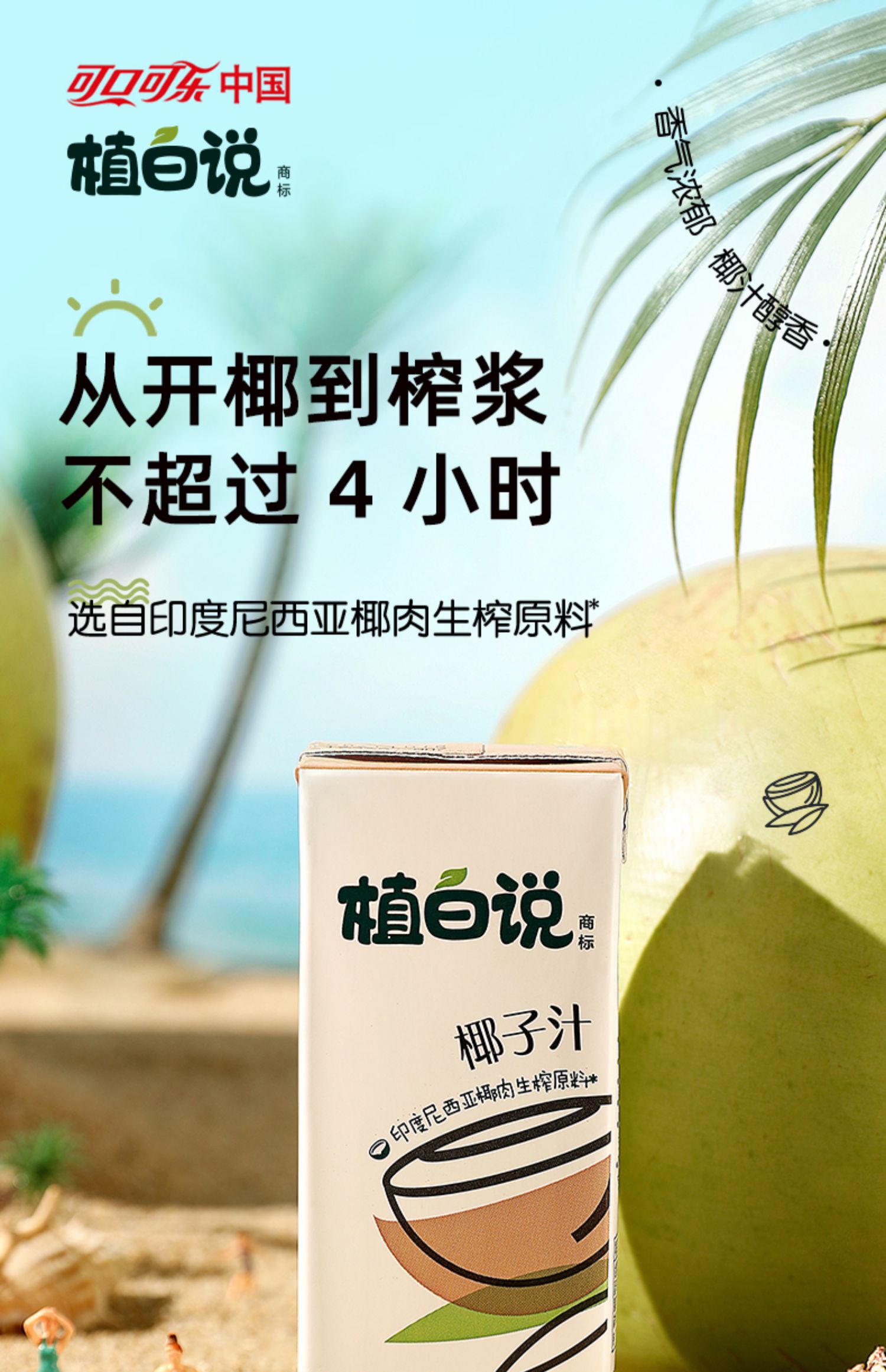 植白说鲜榨椰子汁250ml*6瓶