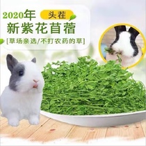 Alfalfa grass gross weight 1000 grams rabbit chinchilla guinea pig rabbit grass hay forage