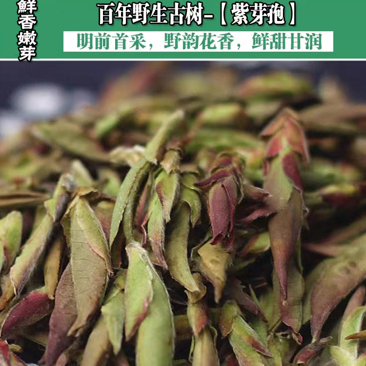 Purple Bud 2024 Yunnan Pu'Er Tea from Centennial Old Trees in Daxue Mountain with Floral and Fruity Aroma 200g Wild Purple Bud Tea