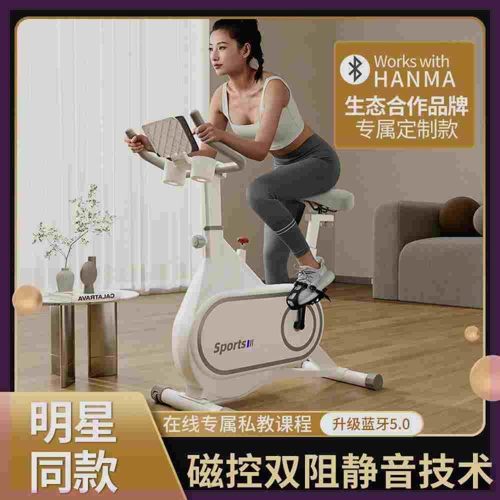 Hanma Intelligent Magnetic Control Spin Bike Home Weight Loss Exercise Equipment Silent MINI Indoor Bike Exercise Bike
