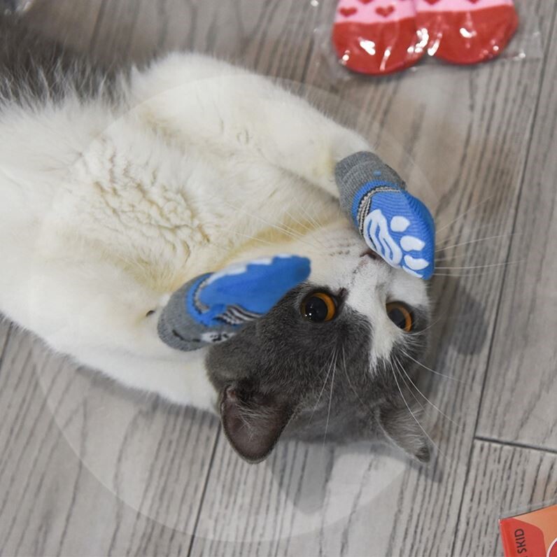 Kitty Socks Anti-Scratching Foot Sleeve Anti-Fall Wearing Gloves Out of Paw Pet Pooch Pet Dog Shoe Cover Summer Shoes