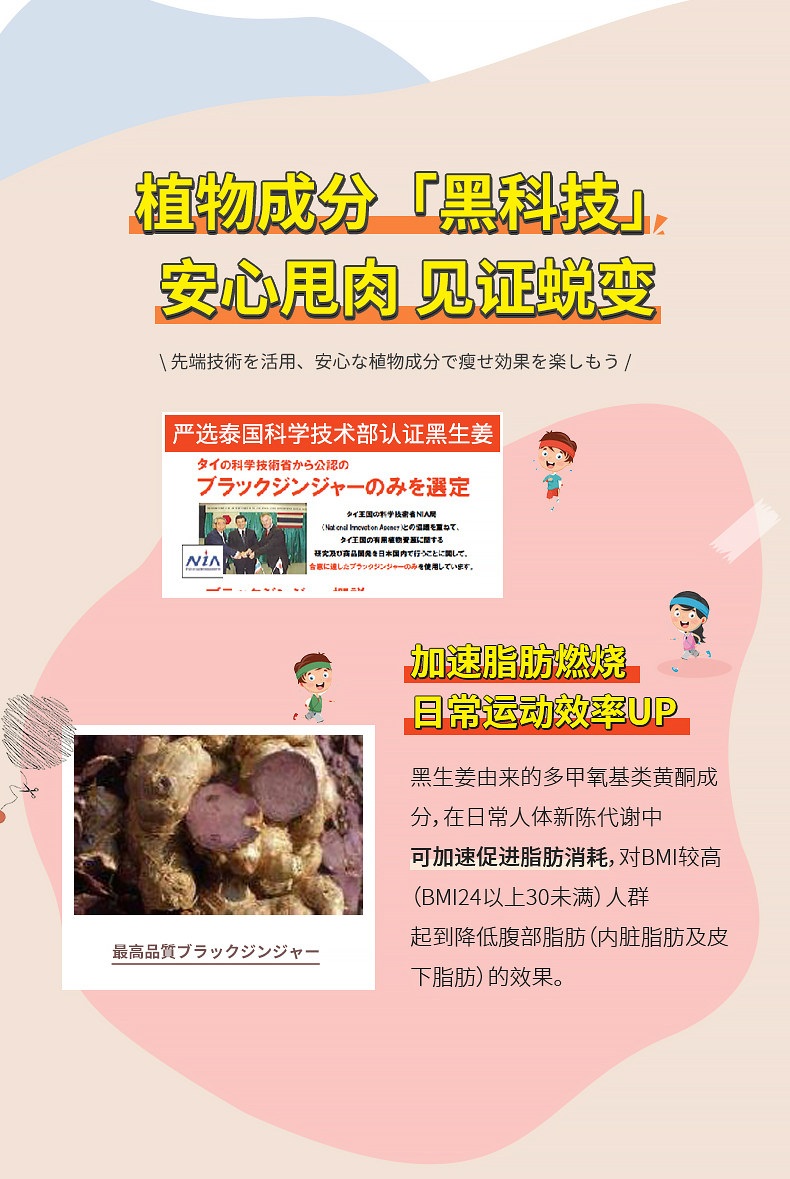 【日本直邮】SVELTY丝蓓缇黑生姜纤体丸瘦身燃脂瘦肚子减肥排油日本酵素150粒