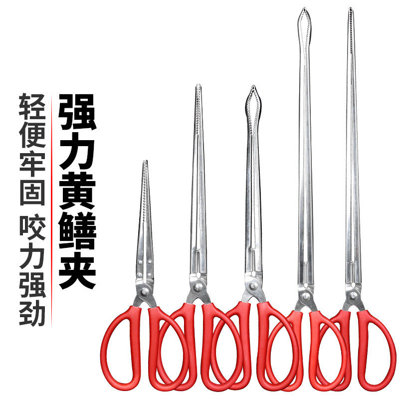Stainless steel yellow eel clip catching sea tool eel clip catching crab artifact anti-slip loach pliers anti-off catching lobster