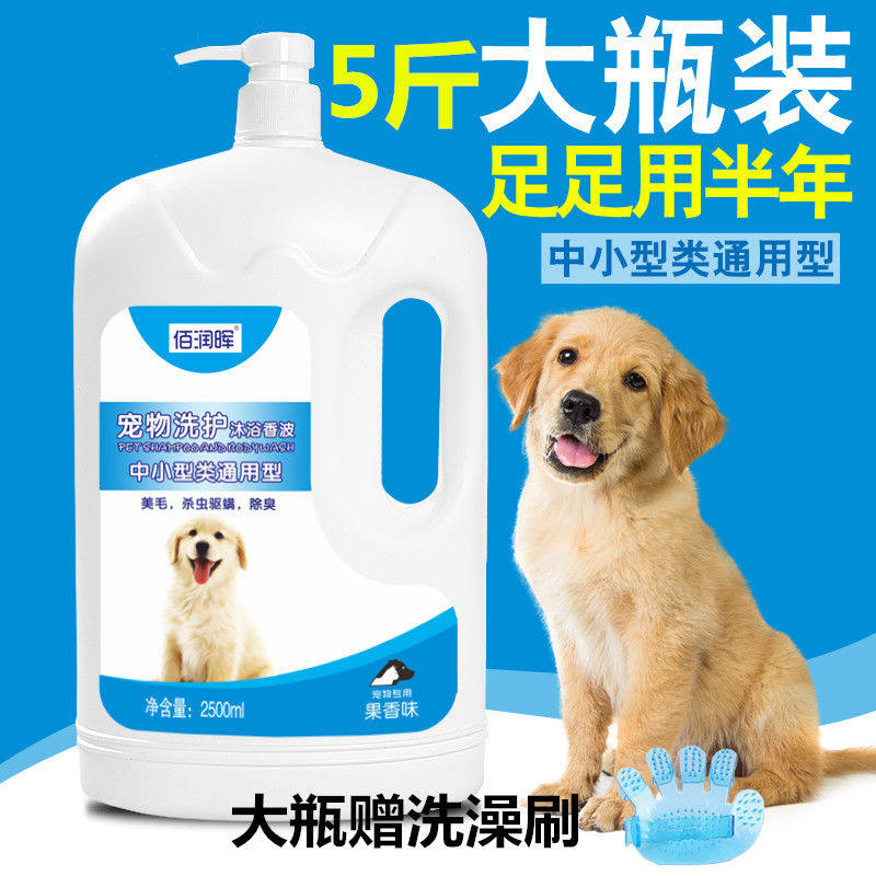 Dog Body Lotion to sterilize and remove mites for persistent fragrant gold Mao Teidi Labrador Moyer Pet Shampoo