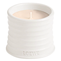 (Official)LOEWE Oregano Fragrance Scented Candle Plant Niche Home Official