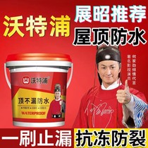 Waterpool Roof Waterproofing Leakage Material Exterior Wall Waterproof Glue Roof Complet Leak Crack Wall Paint Glue Leak King