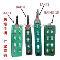 Electric gourd explosion-proof handle switch BAK21BAK31 BAK41 explosion-proof control button explosion-proof remote control handle