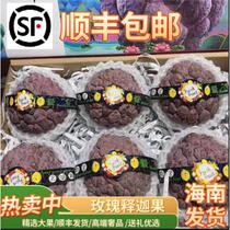 Hainan rose red custard apple fresh fruit five kilograms packed by SF Express freshly picked and fragrant sweet custard apple