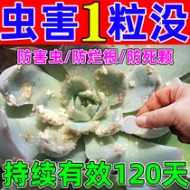 Potted plant insecticide insecticide tablets flower succulent green plant insecticide anti-rot root insecticide deworming saccharified boron fertilizer tablet