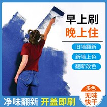 Wise Letter Interior Wall Milk Glue Lacquer Libon Toning Split Grey Blue London Fog Space Walk Online Red Home Dress Change Color Brush