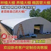 The Wise Letter Breeding Greenhouse Full Range Of Chickens Duck Goose Greenhouse Skeleton Breeding Greenhouse Steel Pipe Cattle Cashshed Planting Greenhouse Whole