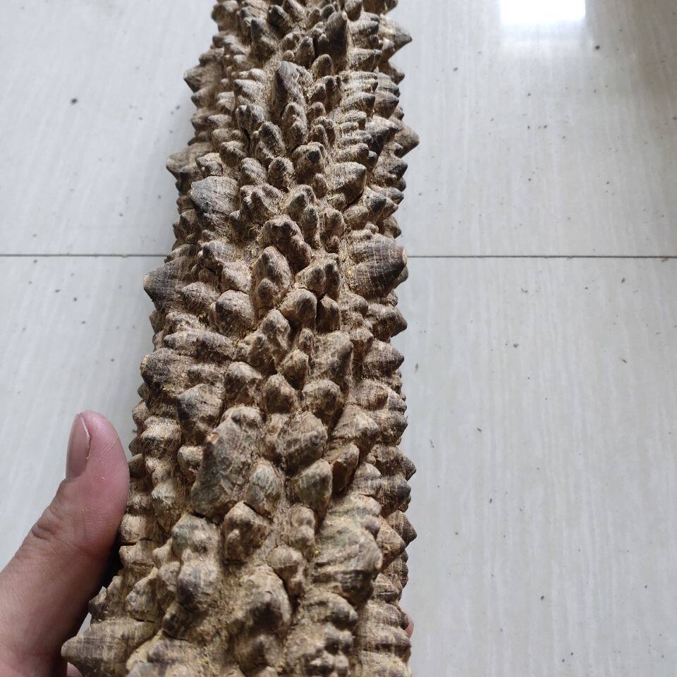 花椒木手棍：🌿纯天然按摩神器，敲背神器，老人小孩都爱不释手！🌟-太极棍-淘宝好物网