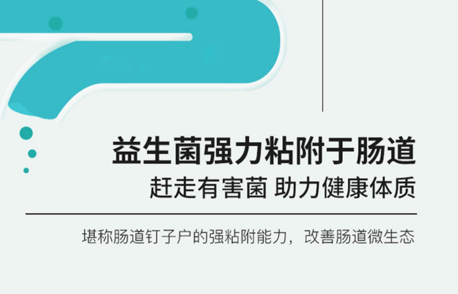 【畅琪】肠道益生菌便秘元养调理冻干粉