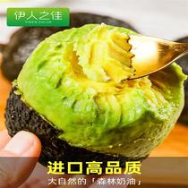 Mexican avocado fresh fruit seasonal whole box pregnant women Big Mac avocado ready-to-eat baby food supplement