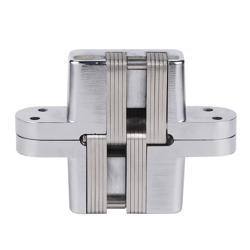 Stainless Steel Hinge Hinge Cross Hinge Hide Hinge Hinge Folding Door Concealed () Dark Core Stealth-Taobao