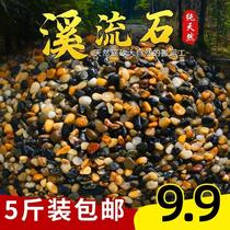 Fish tank small pebble paving bottom made of sand stone native vat stream stone bottom sand not muddy water aquarium stream sand bottom sand