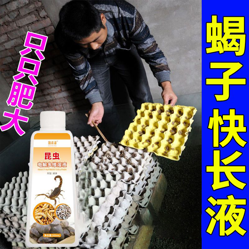 Scorpions Grow Quickly, Increase Their Weight Rapidly, Promote Growth and Reproduction, and Attract Prey; Mixed Feed with Multi-Vitamin Additives Is Commonly Used by Breeders