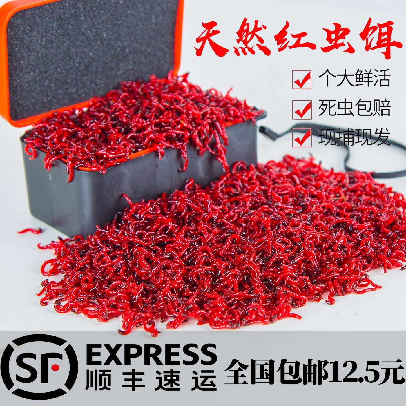 Red worm live bait fresh and extra large crucian carp bait on the bait device black-headed male worm pull bait small worm feeding fish wild fishing bait