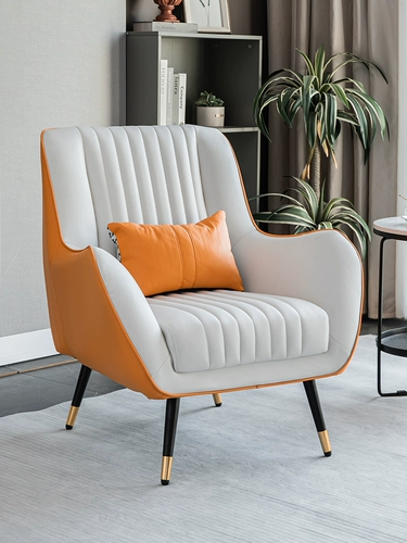 Одинокий диван Стул легкий роскошный северная маленькая квартира спальня спальня тигр