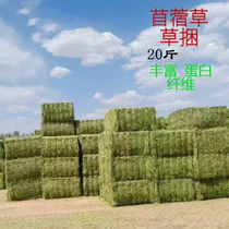 Clover Grass Bale Livestock Feed Horse Grass Stock Cattle Alpaca Eat Pasture Zoo Pet Farm Dry Grass