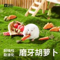 yee hamster carrot molar stick snacks biscuits food landscaping supplies golden bear rabbit grass cake toy