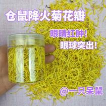 Hamster fire-reducing chrysanthemum petals to remove fire reduce inflammation prevent heatstroke and detoxify snacks mixed with food golden bears flower-branched mice