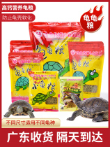 Tortue dor de la tortue dor nourrir une petite tortue de tortue brésilienne Tortue de tortue Tortue alimentaire Tortue alimentaire Tortue paille tortoise séchée au grain et à la crevette séchée