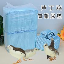 Rutin chicken quail brooding diaper pad thickened dog pet chick diaper pad paper Ludin diaper pad