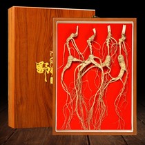 Wild ginseng under forest 25-year-old wild ginseng from Changbai Mountain in northeastern Jilin with certificate gift box and wine-soaked dry ginseng