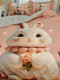 Good Luck Squirrel 2026 New Model 7D Cartoon Imitation Cotton Brushed Velvet Cotton Four-Piece Set Bed Sheet Duvet Cover Three-Piece Set